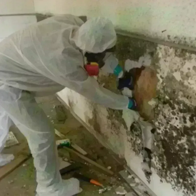 Mold Remediation and Removal in Lanesborough, MA